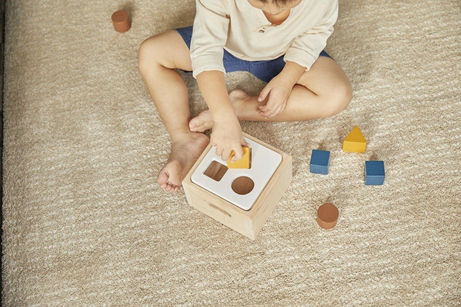PLANTOYS Sortierspiel Orchard Lernspielzeug für Kinder