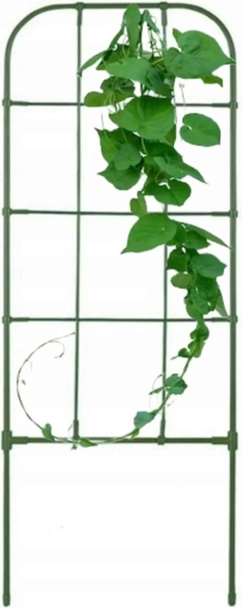 floraland Kletterpflanzenstütze 75 cm – Grün